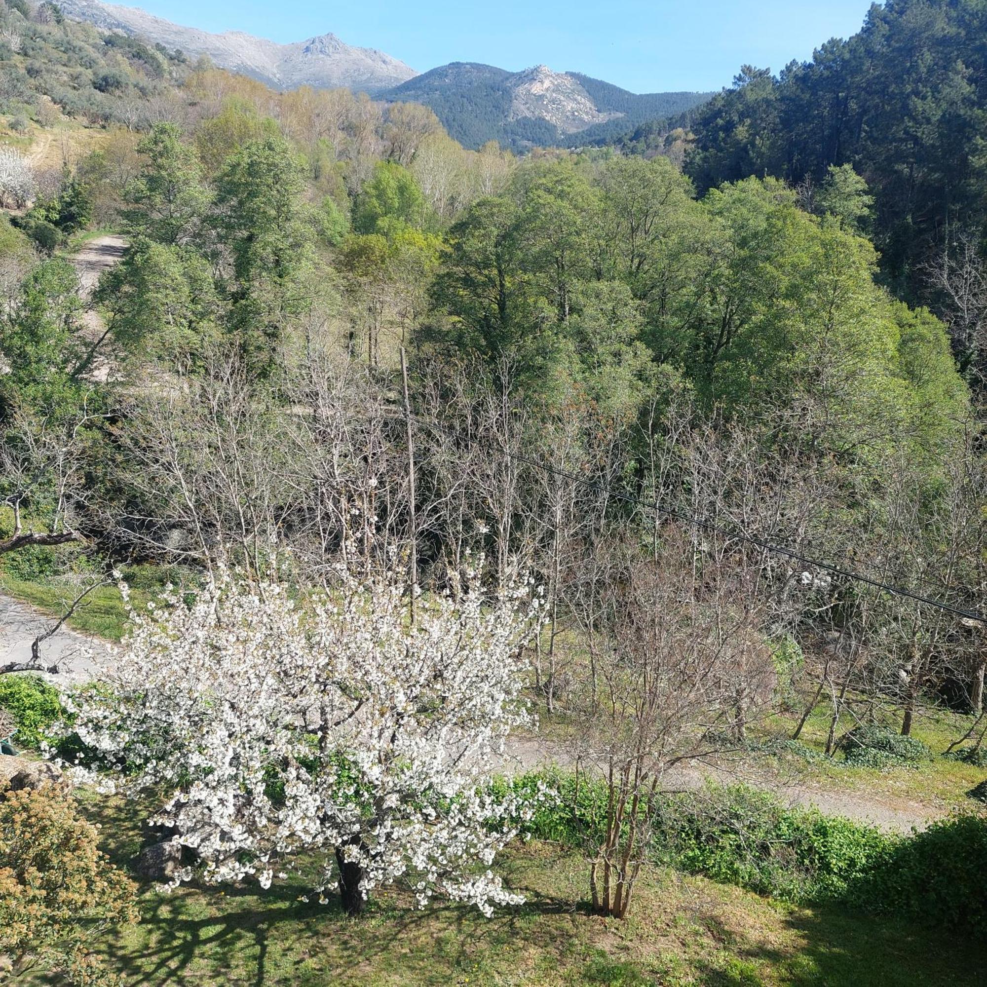 Puente Canto De Gredos Arenas de San Pedro Exterior photo